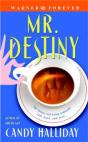 Mr Destiny - Preview