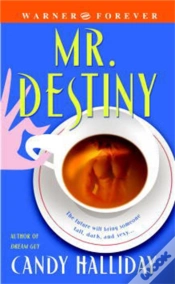 Capa do artigo Mr Destiny