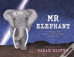 Mr Elephant