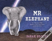 Mr Elephant