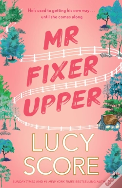 Capa do artigo Mr Fixer Upper