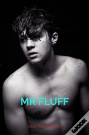 Capa do artigo Mr Fluff