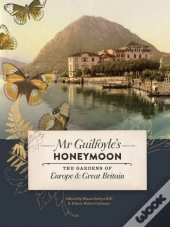 Mr Guilfoyle'S Honeymoon
