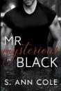 Mr. Mysterious In Black - Preview