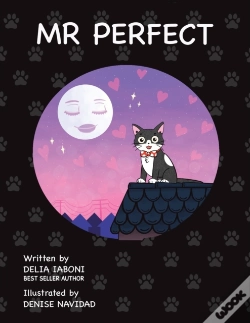 Capa do artigo Mr. Perfect
