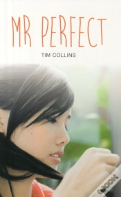 Capa do artigo Mr. Perfect