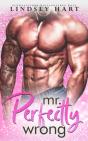 Mr. Perfectly Wrong - Preview