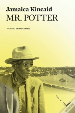 Capa do artigo Mr. Potter
