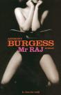 Mr Raj - Preview