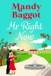 Capa do artigo Mr Right Now