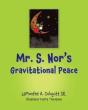 Mr. S. Nor'S Gravitational Peace - Preview