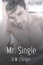 Mr. Single - Preview