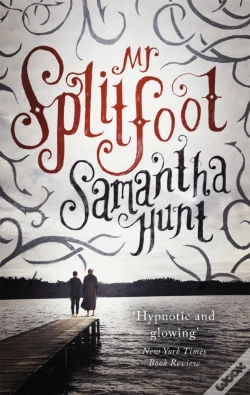 Capa do artigo Mr Splitfoot