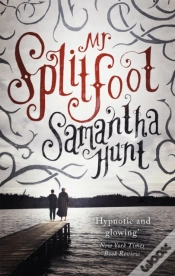 Capa do artigo Mr Splitfoot