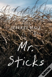 Capa do artigo Mr. Sticks