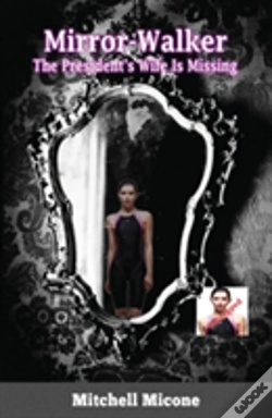 Capa do artigo Mrror-Walker