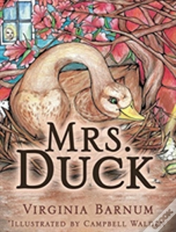 Capa do artigo Mrs. Duck