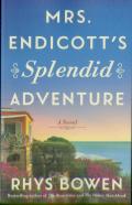 Mrs. Endicott'S Splendid Adventure
