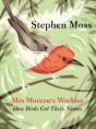 Mrs Moreau'S Warbler - Preview