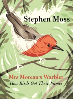 Capa do artigo Mrs Moreau'S Warbler