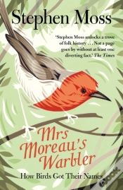 Capa do artigo Mrs Moreau