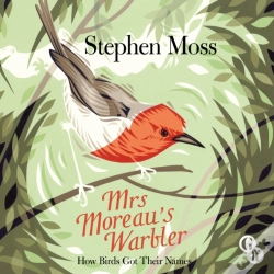 Capa do artigo Mrs Moreau'S Warbler