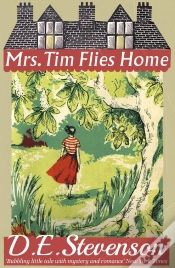 Capa do artigo Mrs. Tim Flies Home