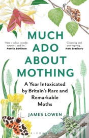 Capa do artigo Much Ado About Mothing