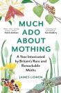 Much Ado About Mothing - Preview