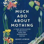 Capa do artigo Much Ado About Mothing