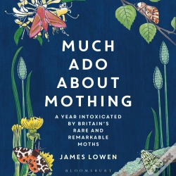 Capa do artigo Much Ado About Mothing
