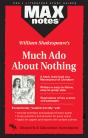 Much Ado About Nothing (Maxnotes Literature Guides) - Preview
