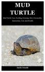 Mud Turtle - Preview