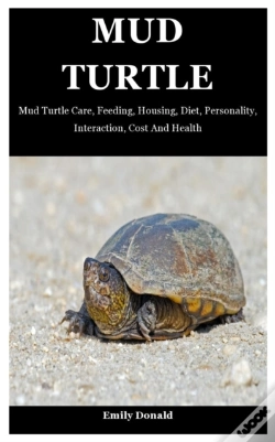 Capa do artigo Mud Turtle