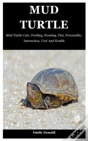Capa do artigo Mud Turtle