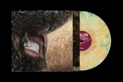 Capa do artigo Muda - Vinil