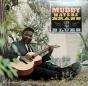 Muddy, Brass & The Blues - Vinil - Preview