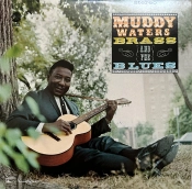 Capa do artigo Muddy, Brass & The Blues - Vinil
