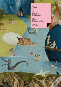Capa do artigo Muerte De Narciso