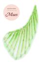 Mues - Preview