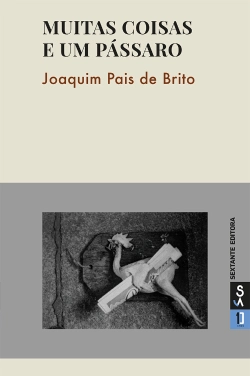 Capa do artigo Muitas Coisas e um pássaro