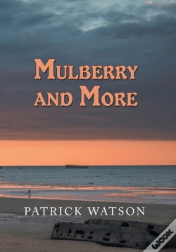 Capa do artigo Mulberry And More