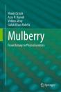 Mulberry - Preview
