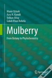 Mulberry