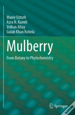 Capa do artigo Mulberry