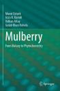 Mulberry - Preview
