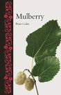 Mulberry - Preview