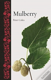 Capa do artigo Mulberry
