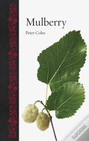 Capa do artigo Mulberry