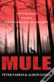 Capa do artigo Mule